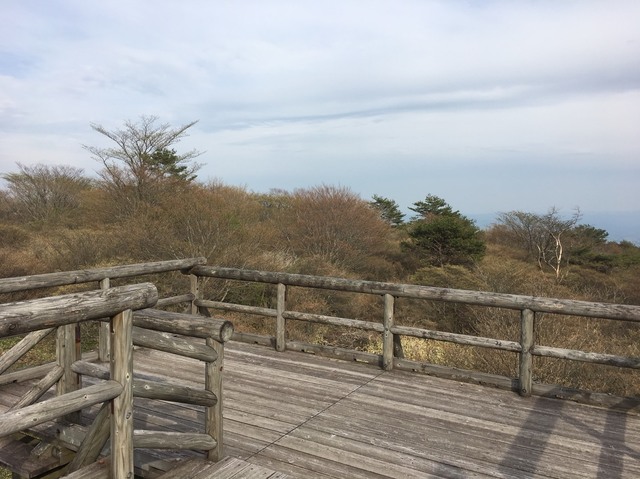 129D2408-D174-4309-B4CD-CFCC9D526BD9.jpeg