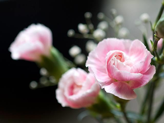 13F2C808-8DF8-4FD3-8AFC-E30BA39C0B25.jpeg