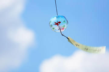1576CB2A-1138-4D0D-B33C-3465D5EC9D19.jpeg
