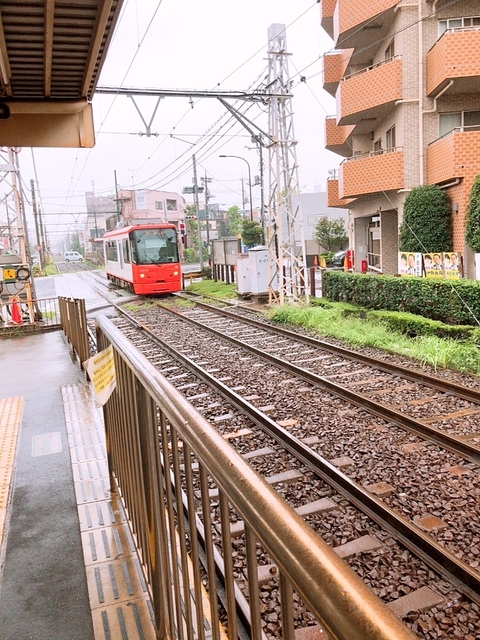 1C84C37D-3D9B-4BFB-89DE-E767D7BA538B.jpeg
