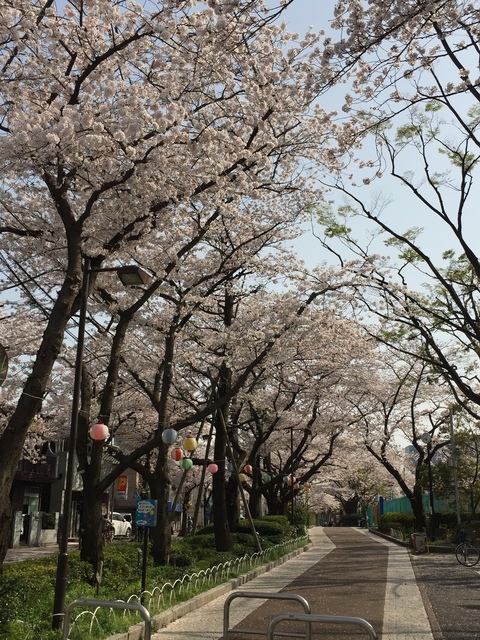 22190DB2-F9EE-47CD-B1E7-4739D4C52CD4.jpeg