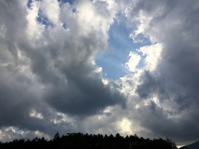 2AB0BC3F-AA20-4309-BDDA-E5EEA7CCC118.jpeg