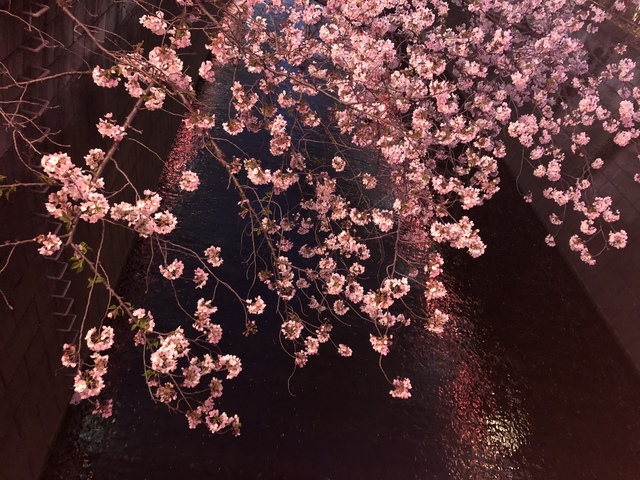 35048C85-5F40-4C1E-AAFA-1FC6FFCD534B.jpeg