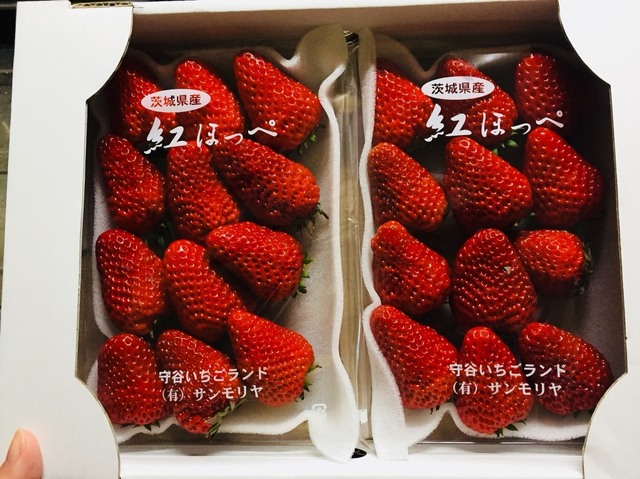 689D9052-55D8-4933-91DA-2F1BF68858CD.jpeg