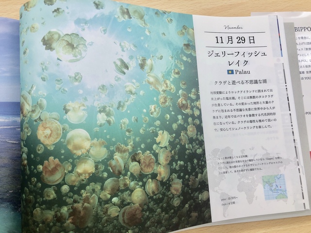 7092BFAE-ED1D-4FDC-864D-FF4FD3704DE9.jpeg