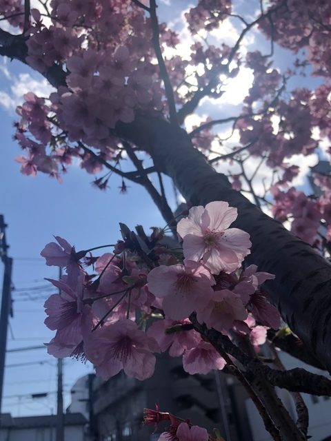 7E721930-5E2D-44B0-A59A-9179D61018E0.jpeg