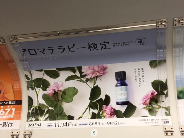 B41EB3A1-62F4-4FC6-96DA-4E50E4A4C887.jpeg