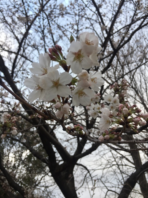 D883805C-55DB-4FE3-BA89-0E72E84513CC.jpeg