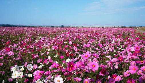 F0487EBD-EDA1-46C0-9E97-16FC6893F4A6.jpeg